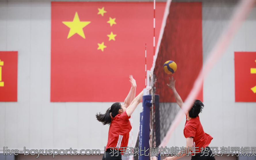 羽毛球比赛的裁判手势及判罚规则