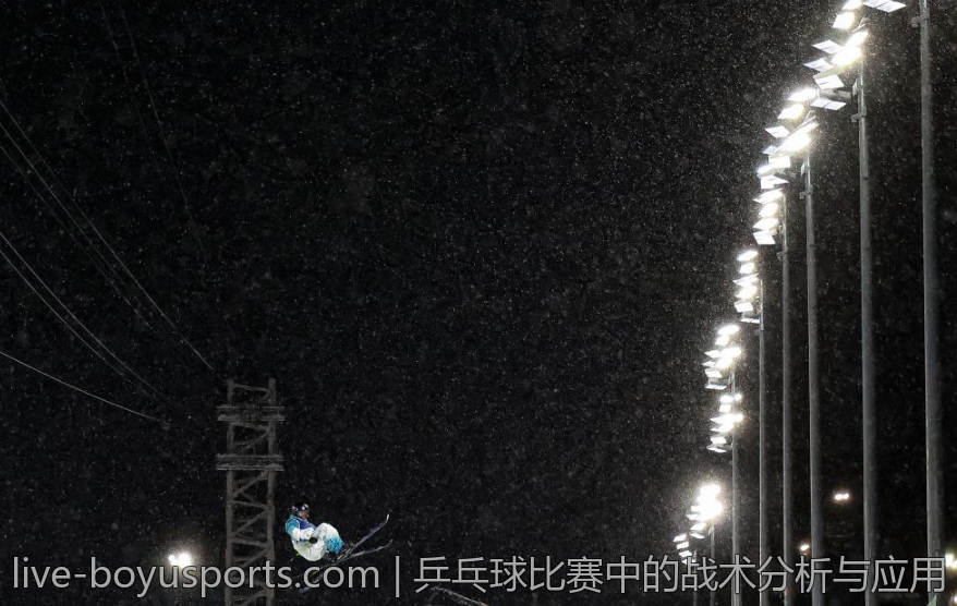乒乓球比赛中的战术分析与应用