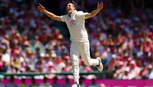 在中国职业 在中国职业