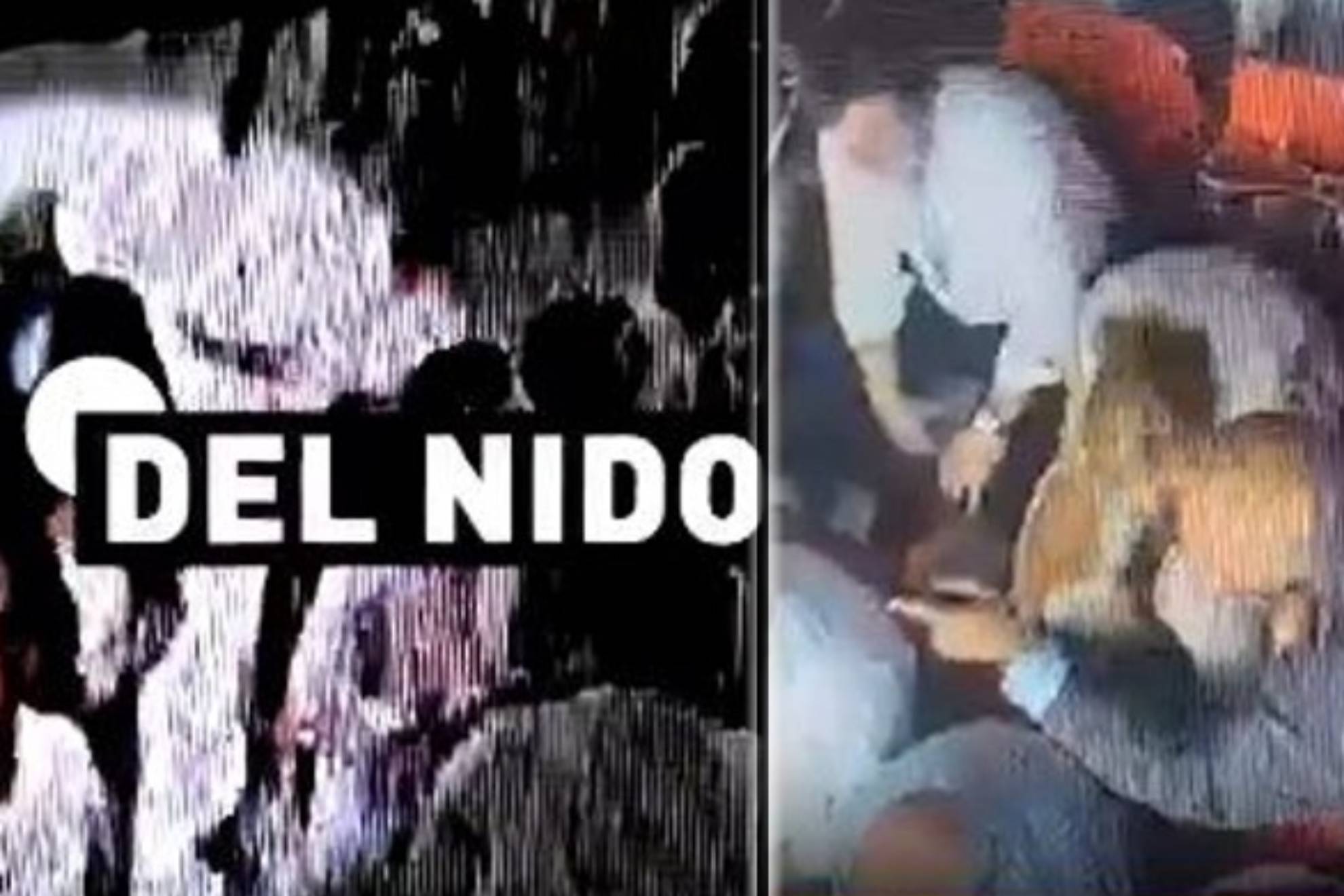 生涯的一次 生涯的一次