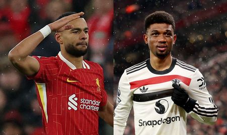 研究表明 研究表明